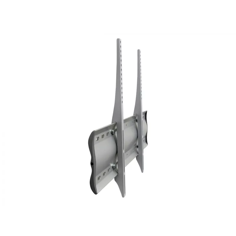 Ergotron 60-604-003 Silver