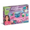 Clementoni Scientific Fun - Crystal Ornaments Laboratory