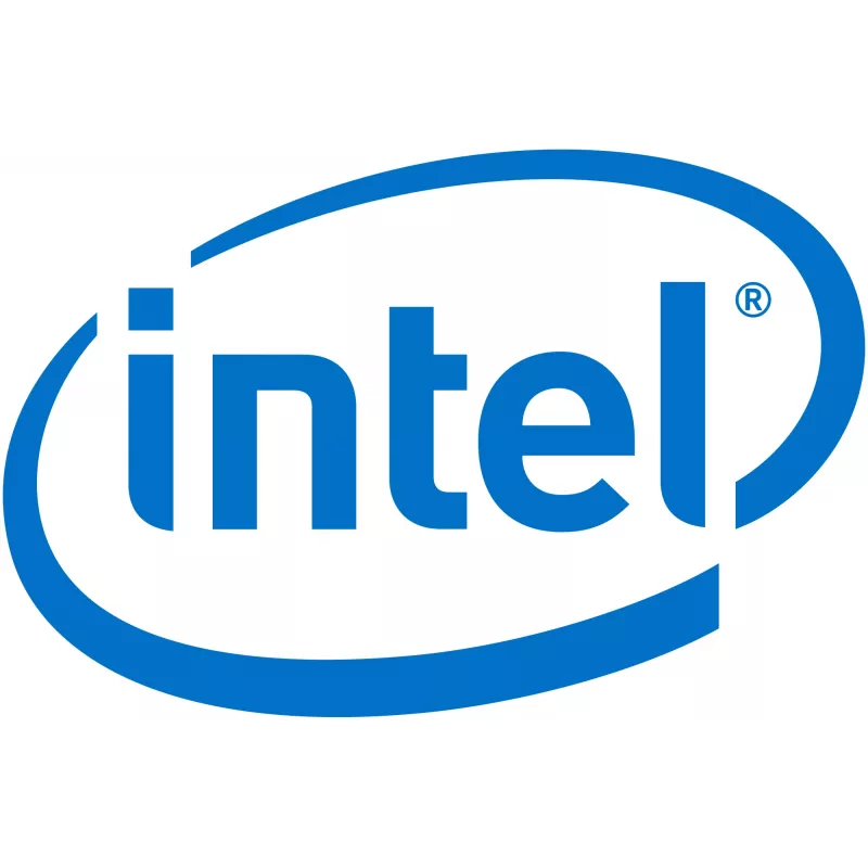 Intel Remote Management Module 4 Lite 2 - Fernverwaltungsadapter (AXXRMM4LITE2)