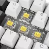 Sharkoon SGK50 S4 keyboard Home USB QWERTZ German White RGB LED 60%