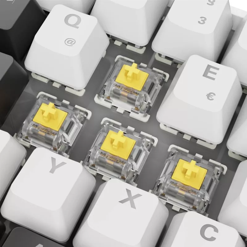 Sharkoon SGK50 S4 keyboard Home USB QWERTZ German White RGB LED 60%