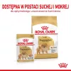 Dry dog food Royal Canin Pomeranian Adult 3 kg — small-breed formula for adult Pomeranians