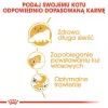 Royal Canin Persian Adult Dry Cat Food 4 kg, Maize, Poultry