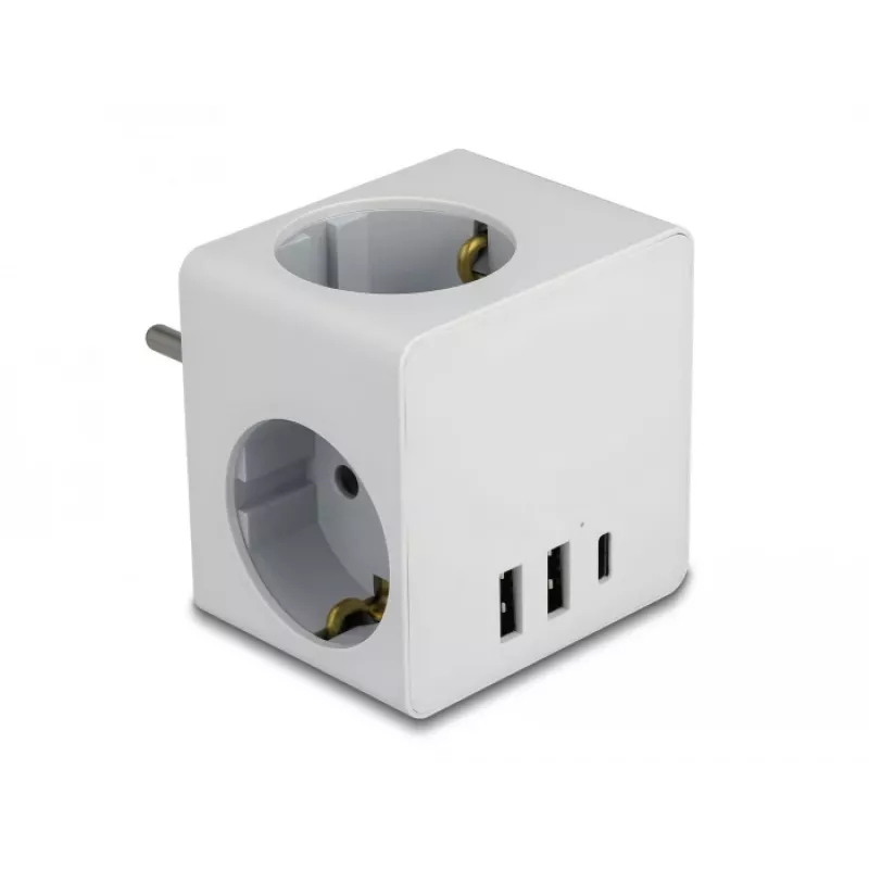 Power Plug Adapter Type F DeLOCK 11496 2 USB Ports 5V 2.4A 3A