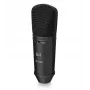 Behringer B-1 DARK EDITION Condenser Microphone