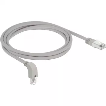 Networking Cable DeLOCK 85875 2m Cat6a S/FTP Grey