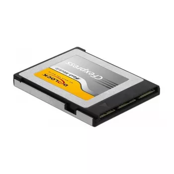Memory Card DeLOCK 54066 256 GB CFexpress