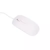 Extralink Stacionarus kompiuteris Xiaomi 24\ All-In-One PC Business | All-In-One PC | Intel i5 11300H, 16GB DDR4, 512GB SSD, keyboard, pel, webcam