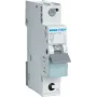Hager MCS110. Rated Current: 10 A. Type: C-type, Module Quantity (max): 1 Module(e). Width: 17,5 mm, Depth: 70 mm, Height: 83,4 mm (MCS110)