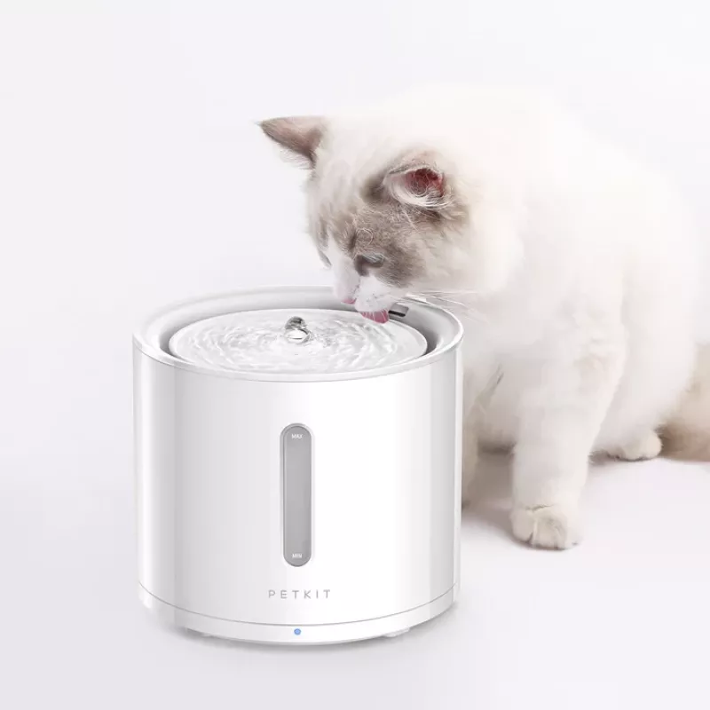 Connected Water Dispenser for Pets Petkit Eversweet Solo 2.0