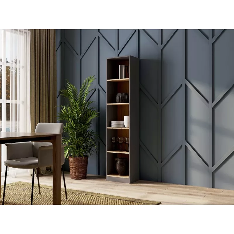 Topeshop R40 ANT/ART office bookcase