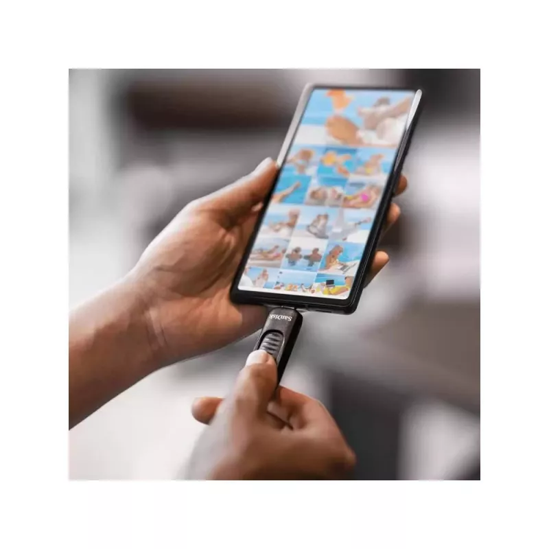 USB flash drive SanDisk 128 GB USB Type-C SDCZ480-128G-G46