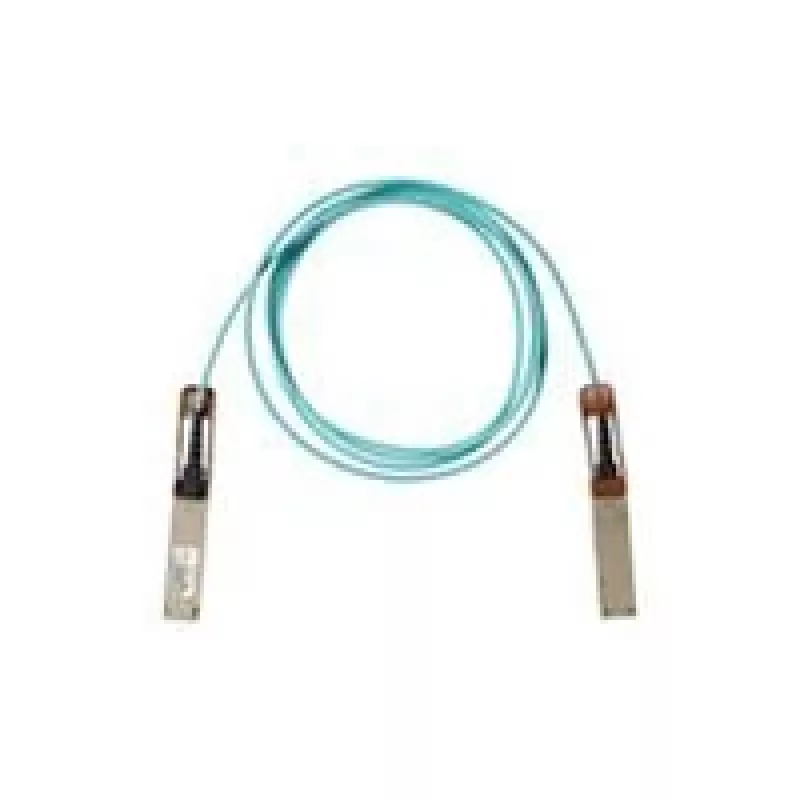 InfiniBand/fibre optic cable Cisco QSFP-100G-AOC1M= 1 m