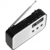 Portable digital radio Adler AD 1907 — AM/FM, digital tuner, alarm, USB-C, 600 mAh battery, LCD, 20 presets, telescopic antenna