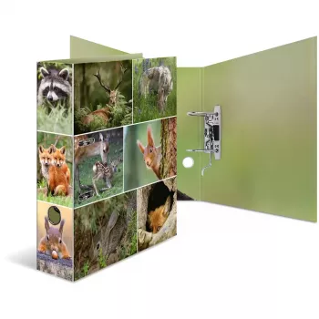 ring binder HERMA 7202 A4 Multicolour