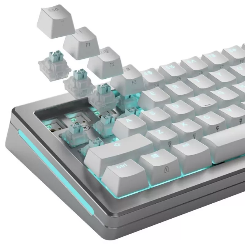 Mechanical keyboard switches GLORIOUS Lynx HE Silent, Hall-effect, linear, MX-stem, 40g actuation, pre-lubed, 36 pcs