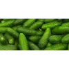Cucumber Ares F1 Toraf Vegetable Seeds, 5g Pack