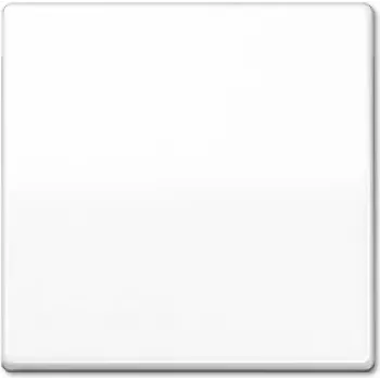 Jung ABAS 591 WW Electrical Switch White (ABAS591WW)