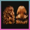 Hair styler SBB. Blow Dry Air Styler SBDR-2000-EU — blow-dryer and brush tool