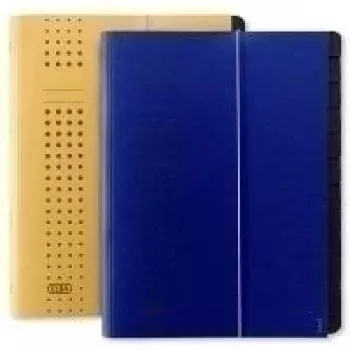 ELBA chic-Expanding File, A4 dark blue, Compartments 1-12, carton (42496 DB) (42496 DB)