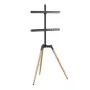 TV Set Accessory Floor Stand 32-65/TRIPOD TVS-65S-01 Gembird