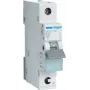 Hager MCS132. Rated Current: 32 A. Type: C-type, Module Quantity (max): 1 Module(e). Width: 17,5 mm, Depth: 70 mm, Height: 83,4 mm (MCS132)