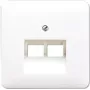 Wall Socket RJ-45 JUNG CD 569-2 UA WW White — Thermoplastic