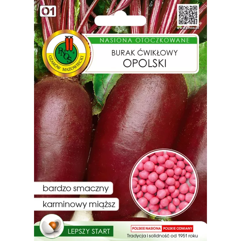 Seed Beetroot Apte Opolski — 100 seeds, high-yield table beet variety