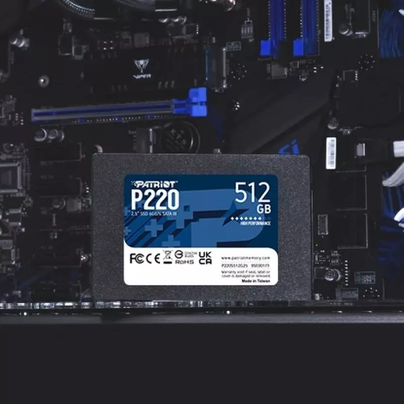 Patriot Memory P220 512GB 2.5 Serial ATA III (P220S512G25)