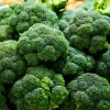 Seeds — Apte Broccoli 'Cezar' | Vegetable seeds pack 2 g