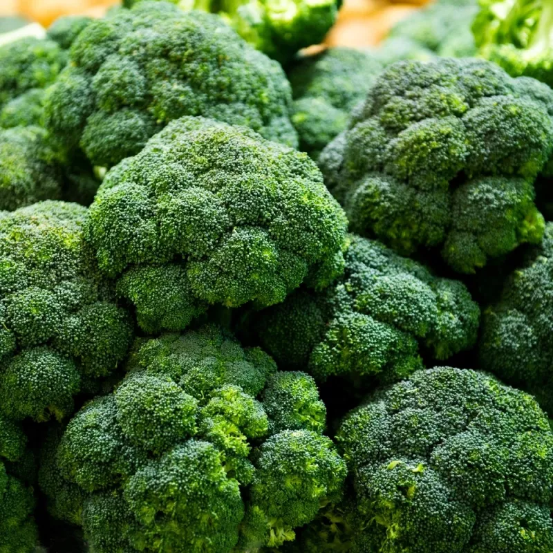 Seeds — Apte Broccoli 'Cezar' | Vegetable seeds pack 2 g