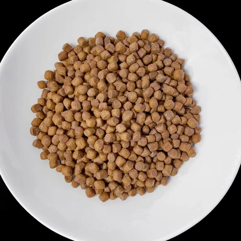 VET RESPONSE Renal - dry dog food - 8kg
