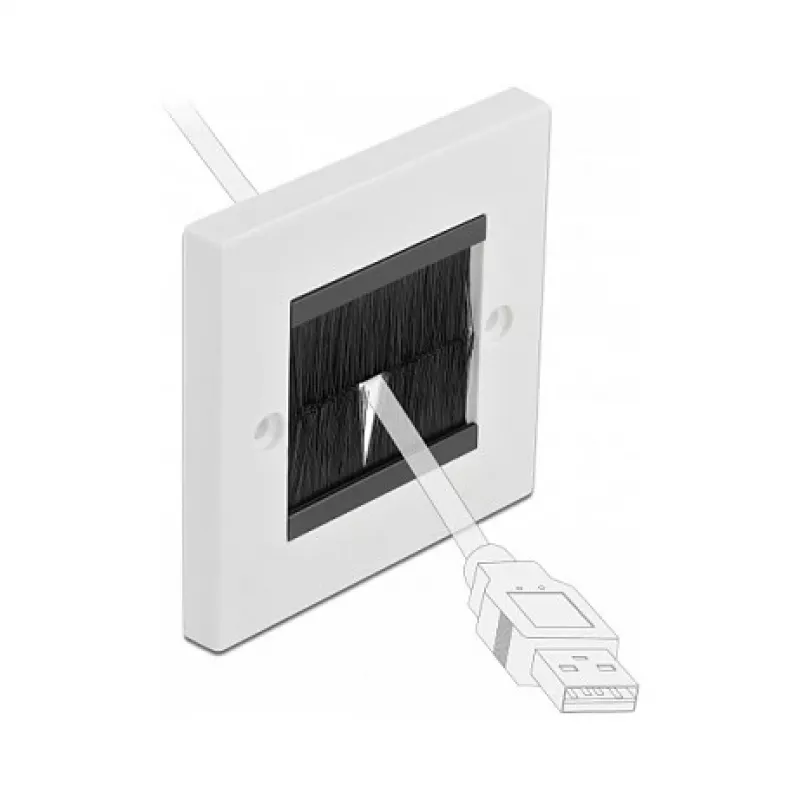 Wall plate DeLOCK 66491 White