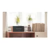 Edifier | Small Powered Speaker | D12 | Bluetooth | Wireless connection