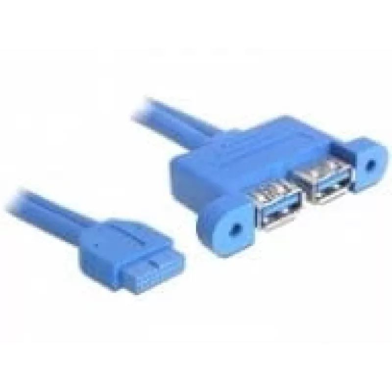 USB Cable DeLOCK 82941 USB 3.2 Gen 1 0.45 m 2 x USB A Blue