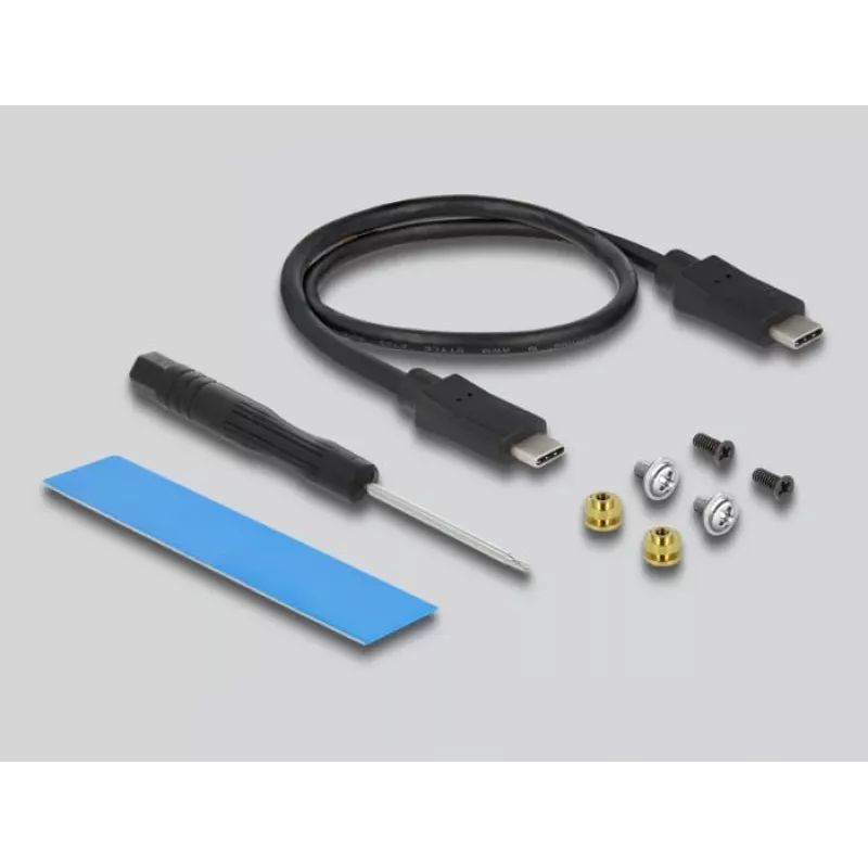 SSD enclosure DeLOCK External USB Type-C Combo Enclosure for M.2 NVMe PCIe or SATA SSD