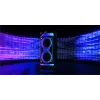 Portable speaker MANTA SPK0601B100, 100 W, Bluetooth, karaoke, wireless microphone, battery, equalizer, disco lighting