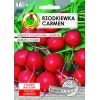 Seeds Apte Rzodkiewka CARMEN — Polish radish variety for year‑round cultivation