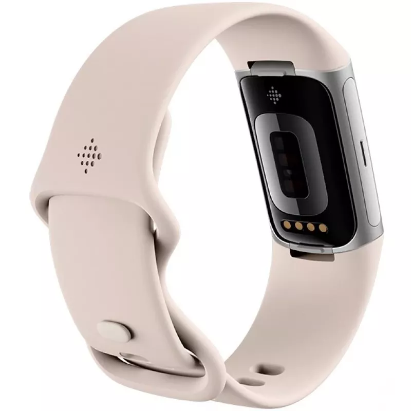 Fitbit GA05185-EU Product Silver