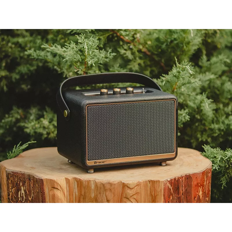 Stereo Portable Speaker Tracer M30 TWS BT Black, Gold