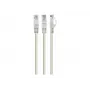Gembird PP6U-3M networking cable Grey Cat6 U/UTP (UTP)
