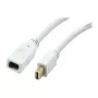 Synergy 21 S216366 - Mini DisplayPort - Mini DisplayPort - Male - Female - Gold - White (S216366)
