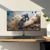 Monitor THOMSON M24FB2Y14 24 inch (61 cm) Full HD 1920x1080 VA LED, 14 ms, VESA, Black