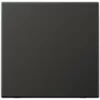 JUNG AL 2990 AN Rocker for Switches, Black, IP44