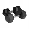 Rubberized cast iron dumbbells HEX 2x10 kg REBEL ACTIVE