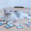 ANIMAL ISLAND Turkey / White fish / Beef / Chicken Fillets in broth - wet cat food - 80x85g