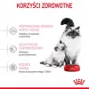 Dry cat food Royal Canin Mother & Babycat 2 kg — chicken, for pregnant, lactating queens and kittens (Junior)