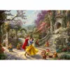 Puzzle Schmidt Spiele 59625 Block puzzle 1000 pcs Cartoons