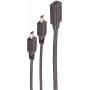 USB cable ShiverPeaks BS13-20022 0.3m USB C Mini-USB B Black