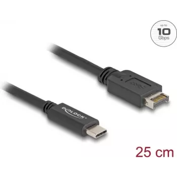 DeLOCK USB Cable USB Type-E Key A 20 pin male to USB Type-C male 25 cm